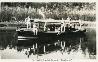 Postcard - MV Blackbird, Bulmers Studio, 1940c