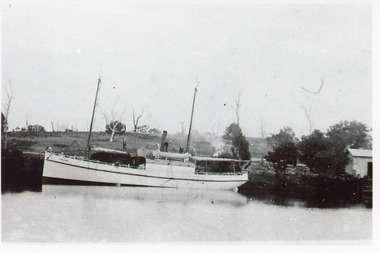 Photograph - S.S. Bellbird, 1906 c
