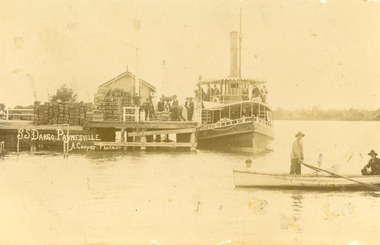 Postcard - S.S. Dargo, 1905 c