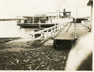 Photograph - SS Dargo, 1919 c