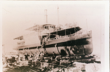Photograph - SS Dargo, c1910