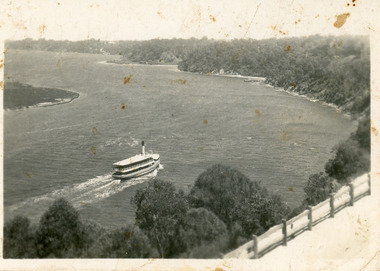 Photograph - S.S. Gippsland, 1920c
