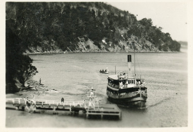 Postcard - S.S. Gippsland, 1925 c