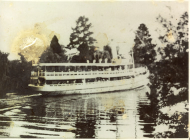 Photograph - S.S. Gippsland, 1910 c