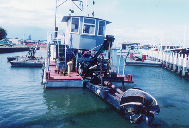 Photograph - Sandpiper, 2003