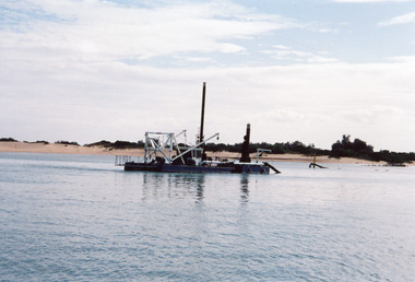 Photograph - Sandpiper, 2000 c