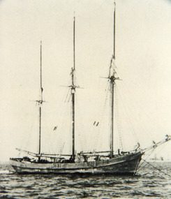 Photograph - Coringle, 1910 c