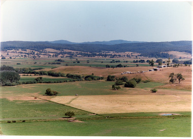 Photograph - Mossiface Flats, Tambo Shire, 1994