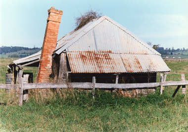 Photograph, 1994 c