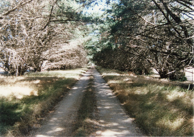 Photograph, Tambo Shire, 1994 c