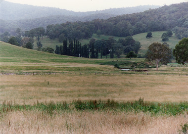 Photograph, Tambo Shire, 1994 c