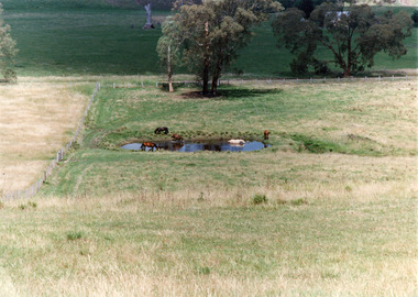 Photograph, Tambo Shire, 1994 c