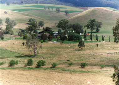 Photograph - Buchan Station, Tambo Shire, 1994 c