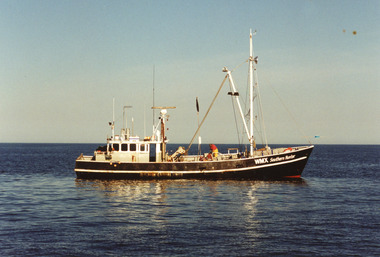 Photograph - Southern Hunter, Hammarstrom Ian, 1988 c