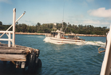 Photograph - Sylvia, Hammarstrom Ian, 1987 c