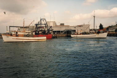 Photograph - Bullock Island Lakes Entrance, Hammarstrom Ian, Co-op Jetty, 1986 c