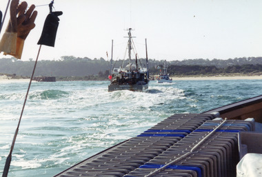 Photograph - Tarpeena, Hammarstrom Ian, 1985 c