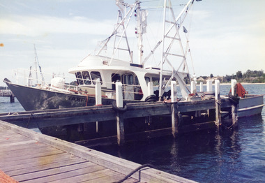 Photograph - Tarpeena, Hammarstrom Ian, 1986 c