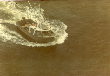 Photograph - Tarpeena, Hammarstrom Ian, 1986 c
