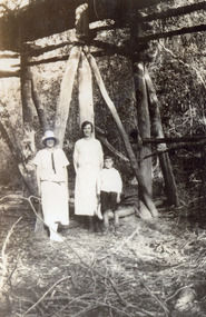 Photograph - tramline Lake Bunga, Jemmeson, Edie, 1925