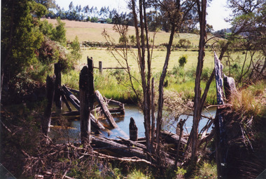 Photograph, 1998