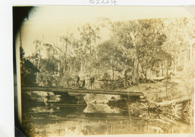 Photograph - Boggy Creek,Nowa Nowa, 1910