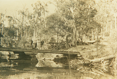 Photograph - Boggy Creek, Nowa Nowa Victoria 1910