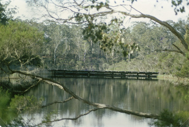 Photograph - Bridges, Fish Marie, 1965