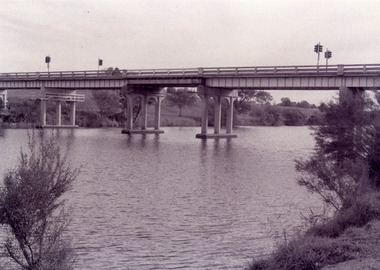 Photograph - Bridges, Fish Marie, 1995
