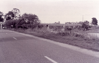 Photograph - Bridges, Fish Marie, 1995
