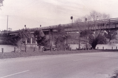 Photograph - Bridges, Fish Marie, 1995