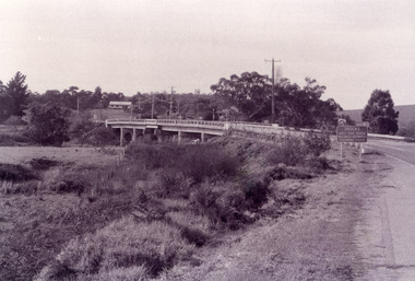 Photograph - Bridges, Fish Marie, 1995