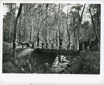Photograph - Bridges, 1896