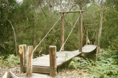 Photograph - Bridges, Fish Marie, 1995