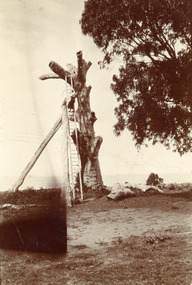 Photograph, 1910