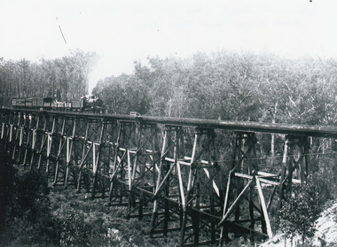 Photograph - Stoney Creek bridge near Nowa Nowa, 1930