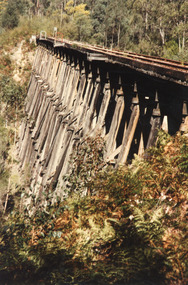 Photograph - Trestle Bridge, Nowa Nowa Victoria, Bennett, Vera, 1989