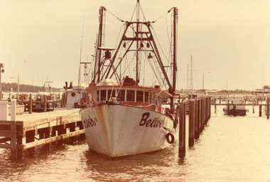 Photograph - Beaver, 1980