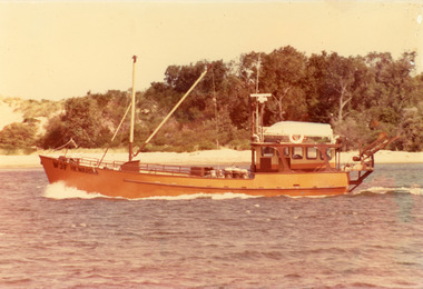 Photograph - Hewardia, 1980