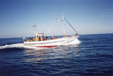 Photograph - Minawie, Shepherd Dennis, 1990c