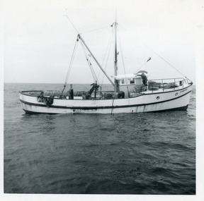 Photograph - St. John Star, 1975