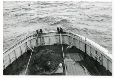 Photograph - Pamela Star, 1975