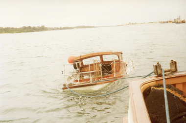 Photograph - Idler, 1980