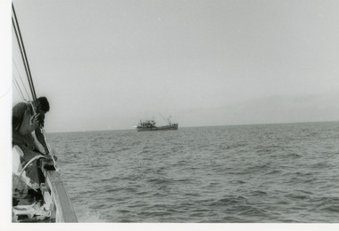 Photograph - Fishing Industry, 1975
