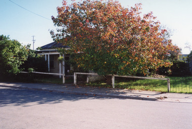 Photograph - Bell family Ivy Cottage, Grey Street Lakes Entrance  1996, Holding M