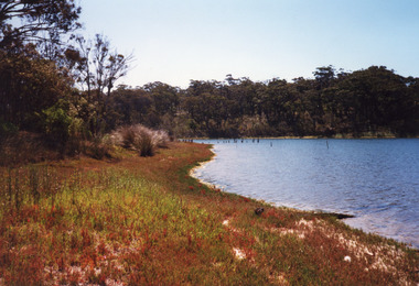 Photograph - Lakes Tyers Landing  c1999