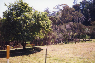 Photograph - Toorloo Arm Tea Room, Toorloo Arm Victoria  c1999