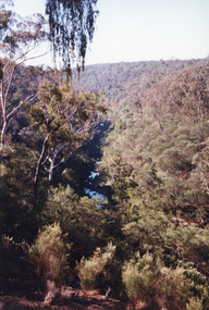 Photograph - Boggy Creek Gorge, 1999