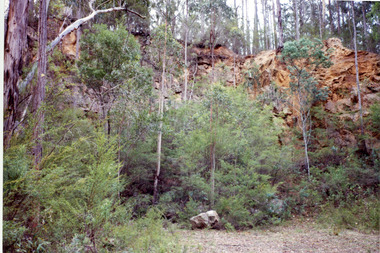 Photograph - Mississippi Creek, 1999
