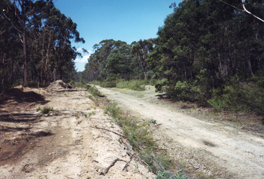 Photograph - Colquhoun Railway siding, 1999, 1999